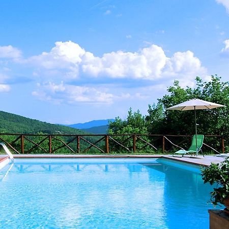 Agriturismo Badia Ficarolo Palazzo del Pero Экстерьер фото