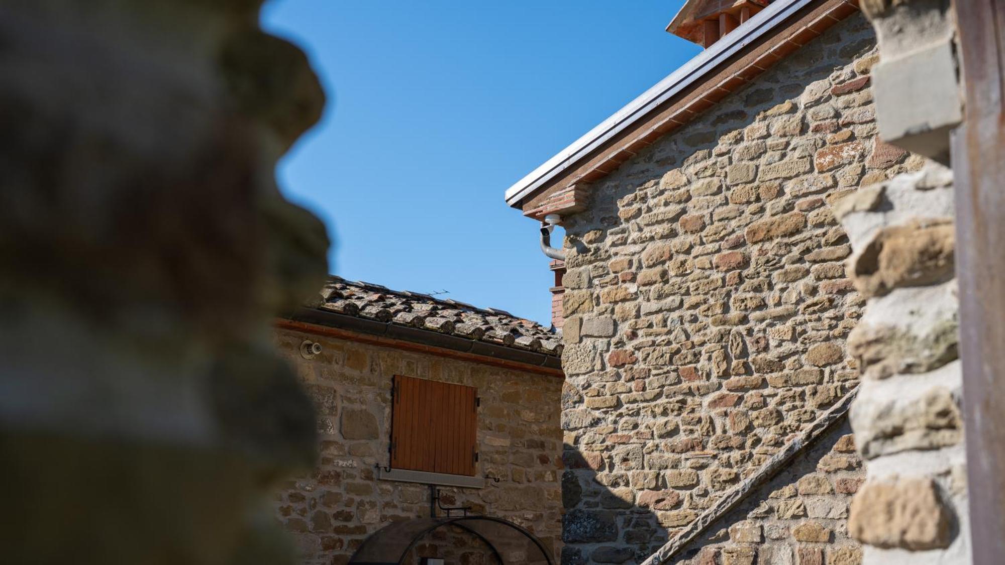 Agriturismo Badia Ficarolo Palazzo del Pero Экстерьер фото