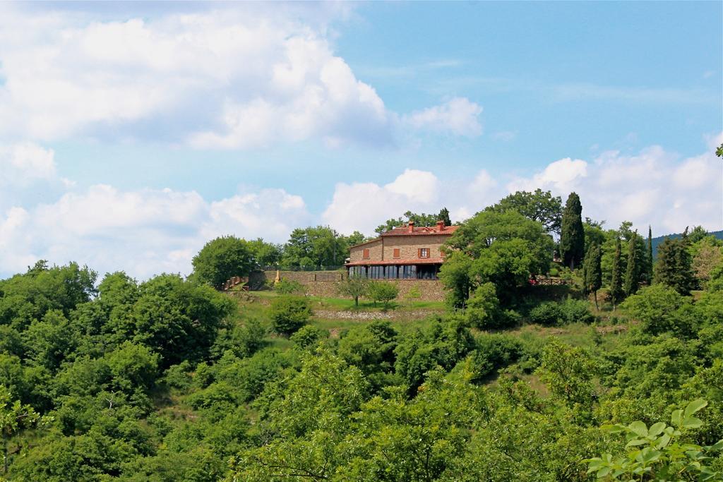 Agriturismo Badia Ficarolo Palazzo del Pero Экстерьер фото